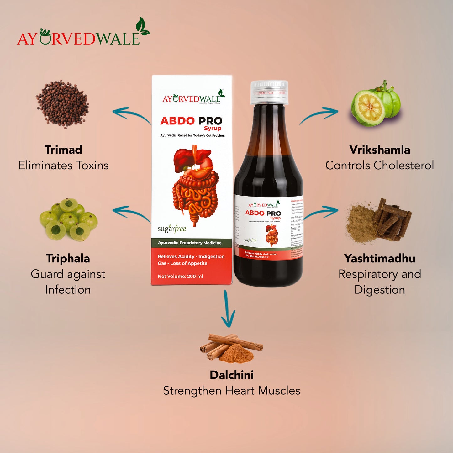 Ayurvedwale ABDO PRO Syrup (Sugar-Free, 200ml)